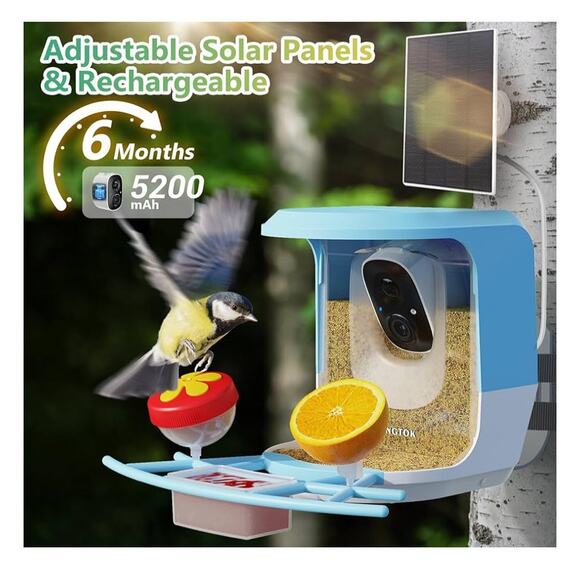 Smart Bird Feeder with Camera, Outdoor Bird Watching Camera House - Picture 4 of 4